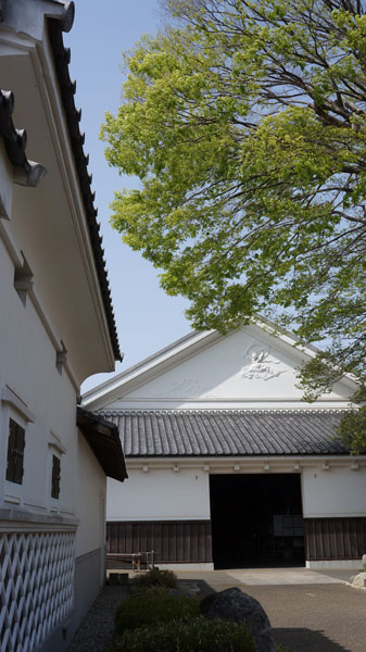 RƯỢU AMABUKI JUNMAI DAIGINJO AIYAMA 3